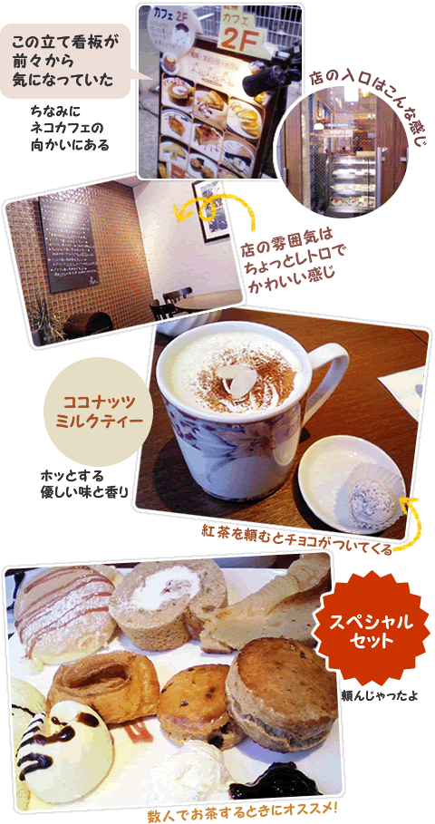 lululuレポート