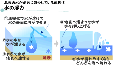 北極の氷が劇的に減少している原因1