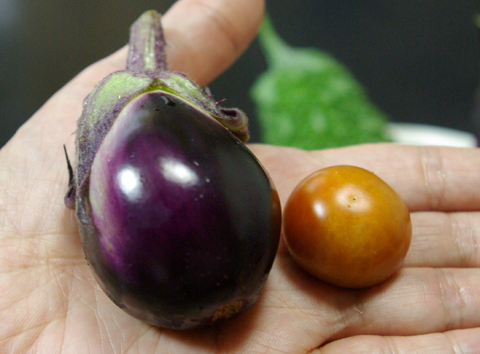 水ナスとミニトマト