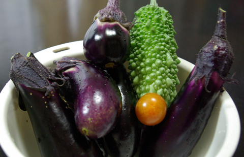 ナスとトマトとゴーヤ